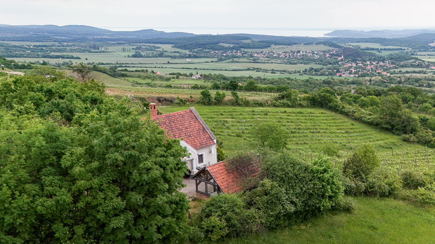 eladó balatoni panorámás présház pcéselyen