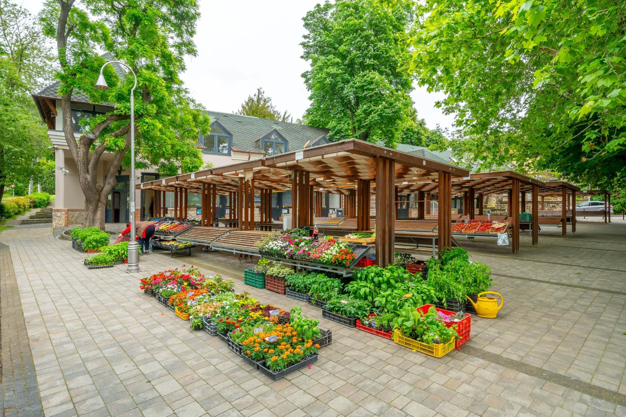 250508_DD_Templom_038