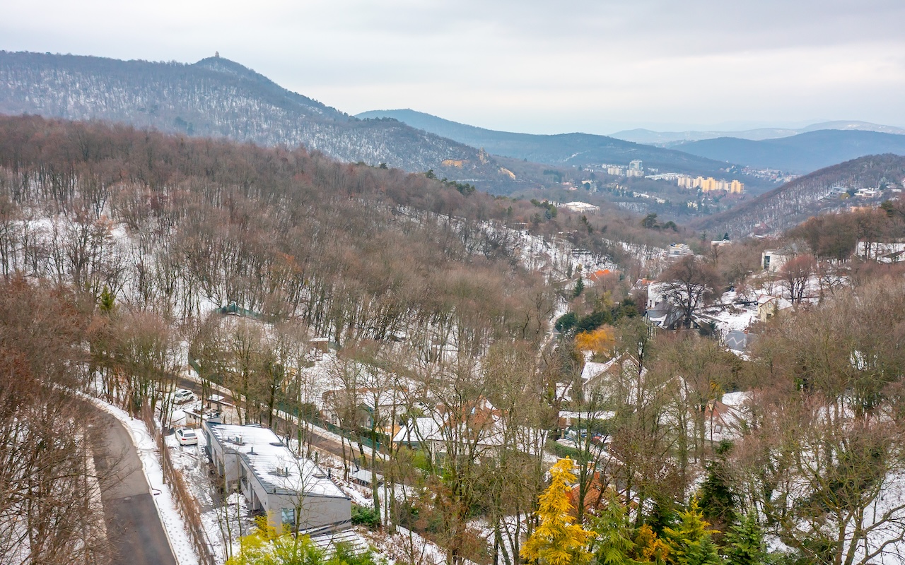 260205_DD_Csillagvolgyi_046