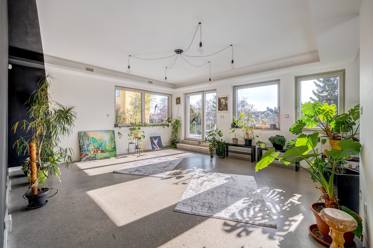 260318_DD_Amerikai_017