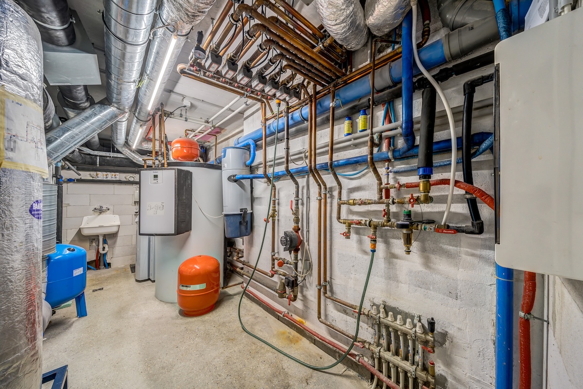 260318_DD_Amerikai_028