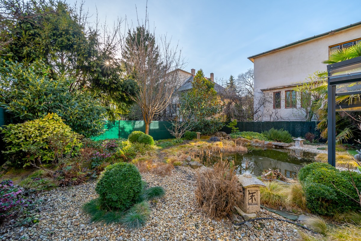 260318_DD_Amerikai_034