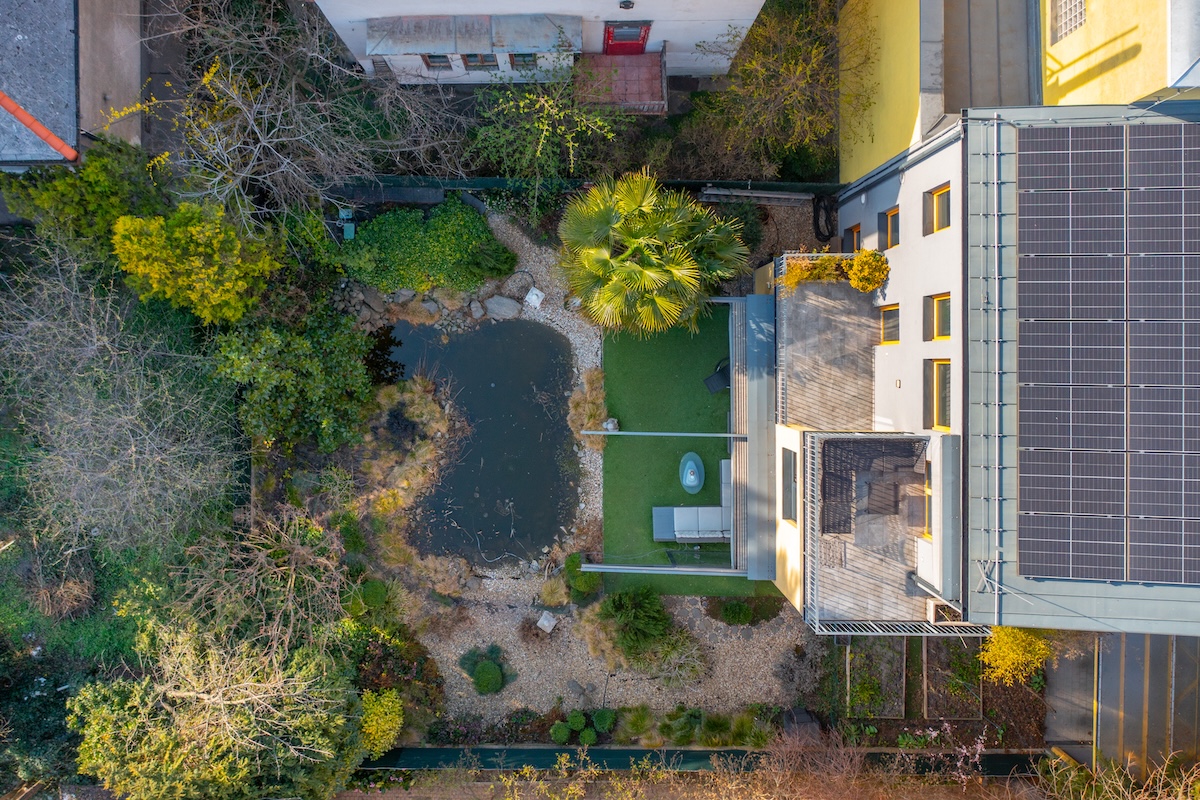 260318_DD_Amerikai_047