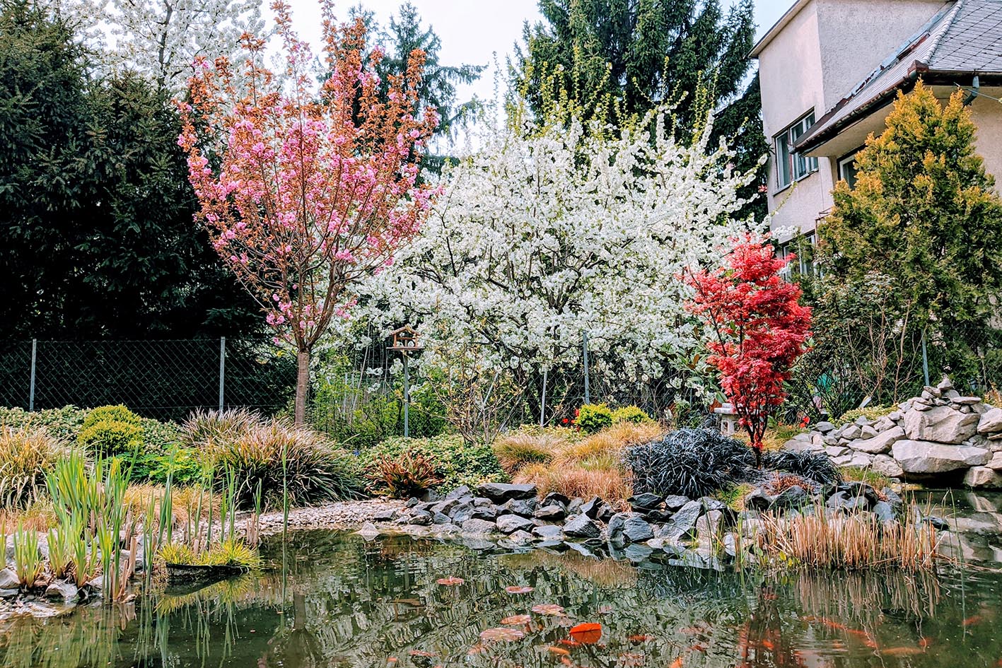 Am54_garden_02 másolat