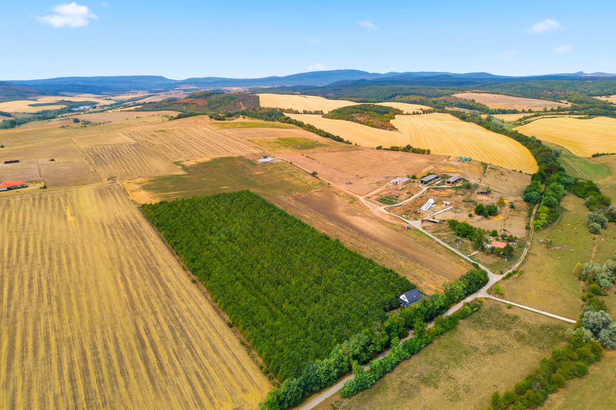 DJI_0492