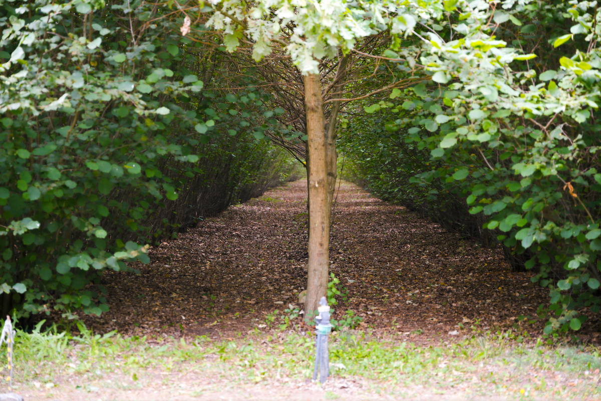 DSC07970